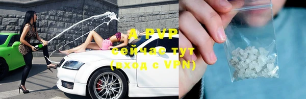 МДПВ Нефтегорск