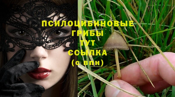 МДПВ Нефтегорск
