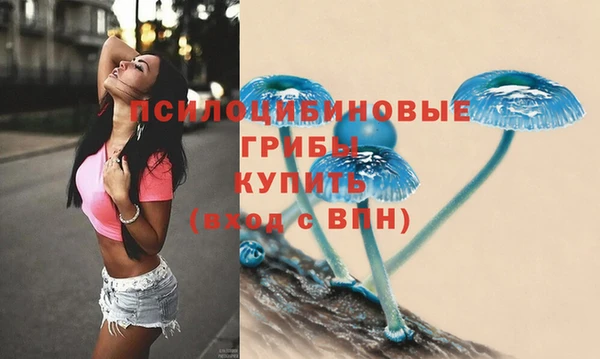 МДПВ Нефтегорск